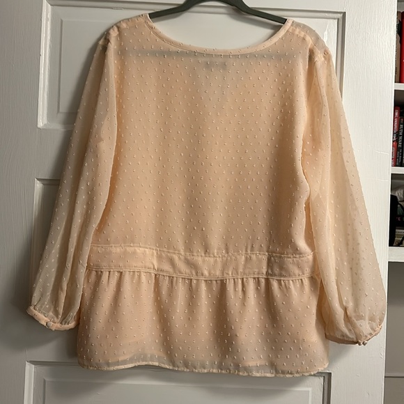 Loft Swiss Dot Blouse - Picture 6 of 6